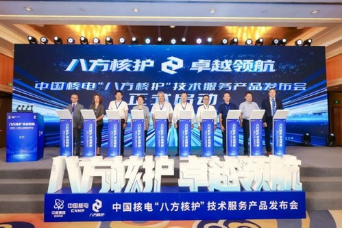 跨越太平洋的技術(shù)服務(wù) 中國核電人赴美完成爆破閥檢修
