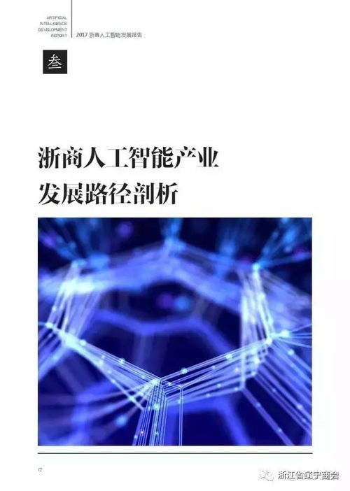 2017浙商人工智能發展報告 應用開發的新格局與未來展望